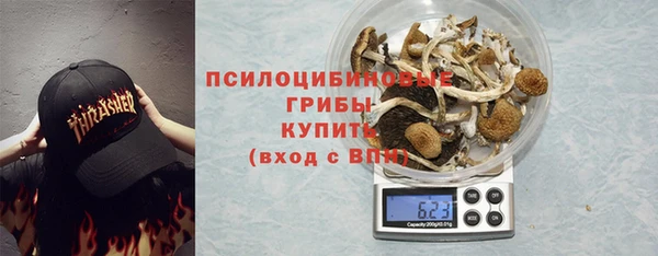 шишки Нефтегорск