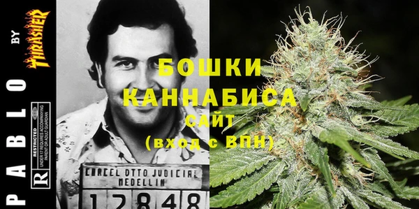 шишки Нефтегорск