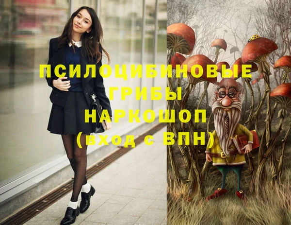 хмурый Верхний Тагил