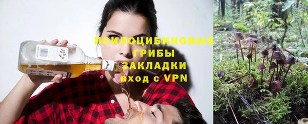 сатива Нея